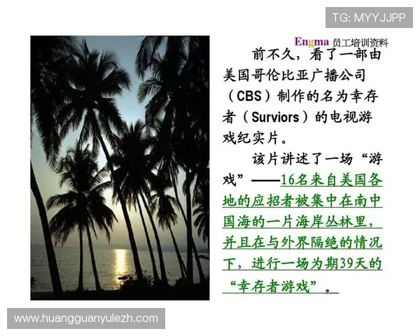 皇冠电游官网首页游戏安全保障措施确保每一场游戏公平公正进行