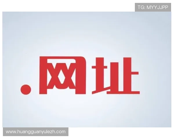 新2手机版登录网址无需担心风险保护，便捷快速进入官网体验精彩娱乐